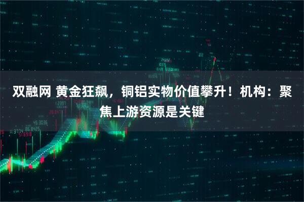 双融网 黄金狂飙，铜铝实物价值攀升！机构：聚焦上游资源是关键
