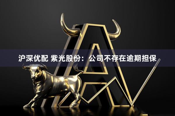 沪深优配 紫光股份：公司不存在逾期担保
